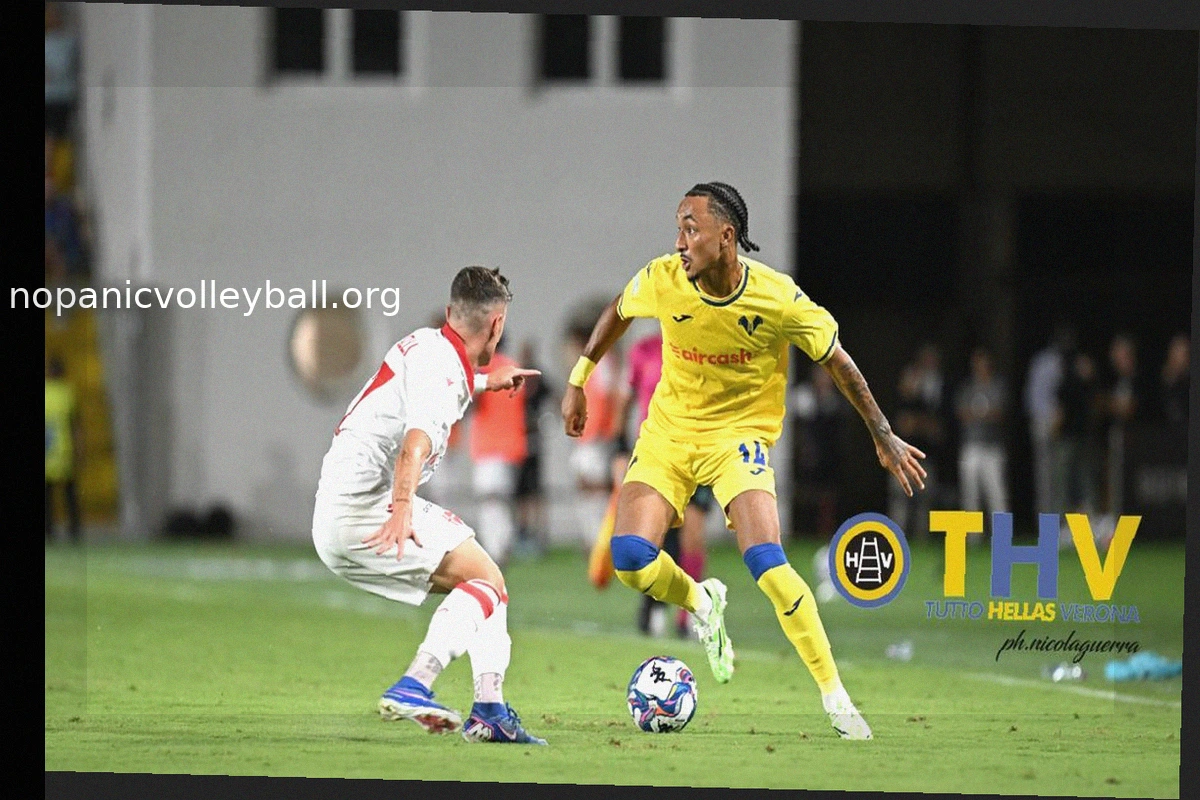 Padova vs. Hellas Verona: Match Report