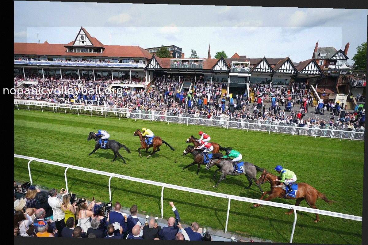 Today on Sky Sports Racing: Lazy Griff's Chester Comeback and More Racing Action