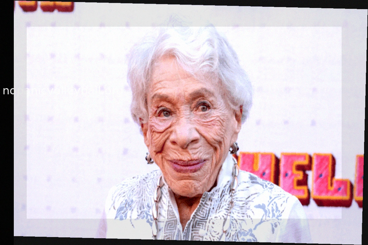 Bunny Levine, Librarian Turned Actress, Dies at 97